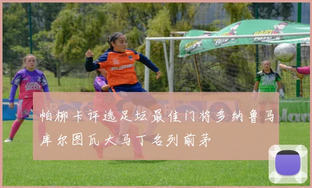帕柳卡评选足坛最佳门将多纳鲁马库尔图瓦大马丁名列前茅