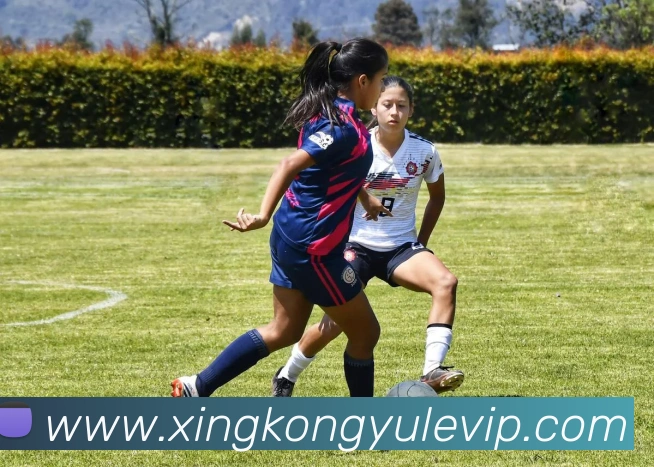 星空娱乐品牌故事